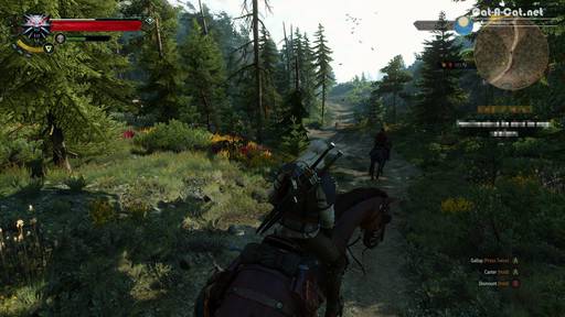 The Witcher 3: Wild Hunt - Появились новые подтверждения и контраргументы касательно «урезки» графики в The Witcher 3